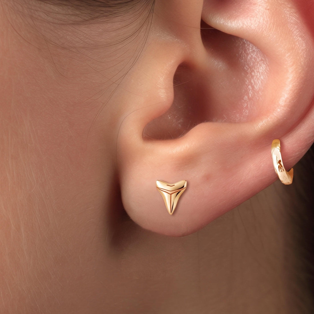 Shark Tooth Stud Earrings