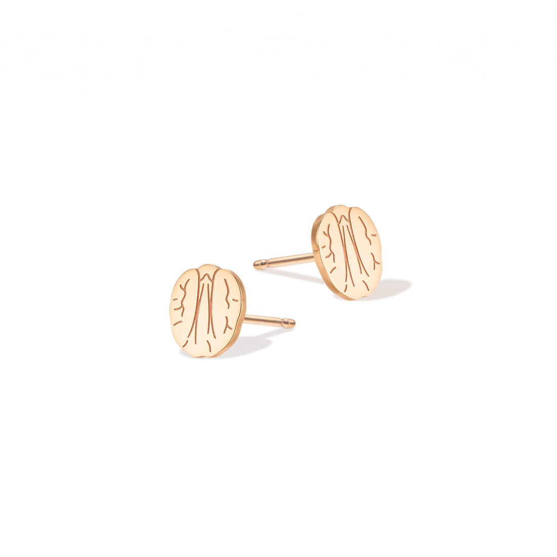 Walnut Nut Charm Stud Earrings