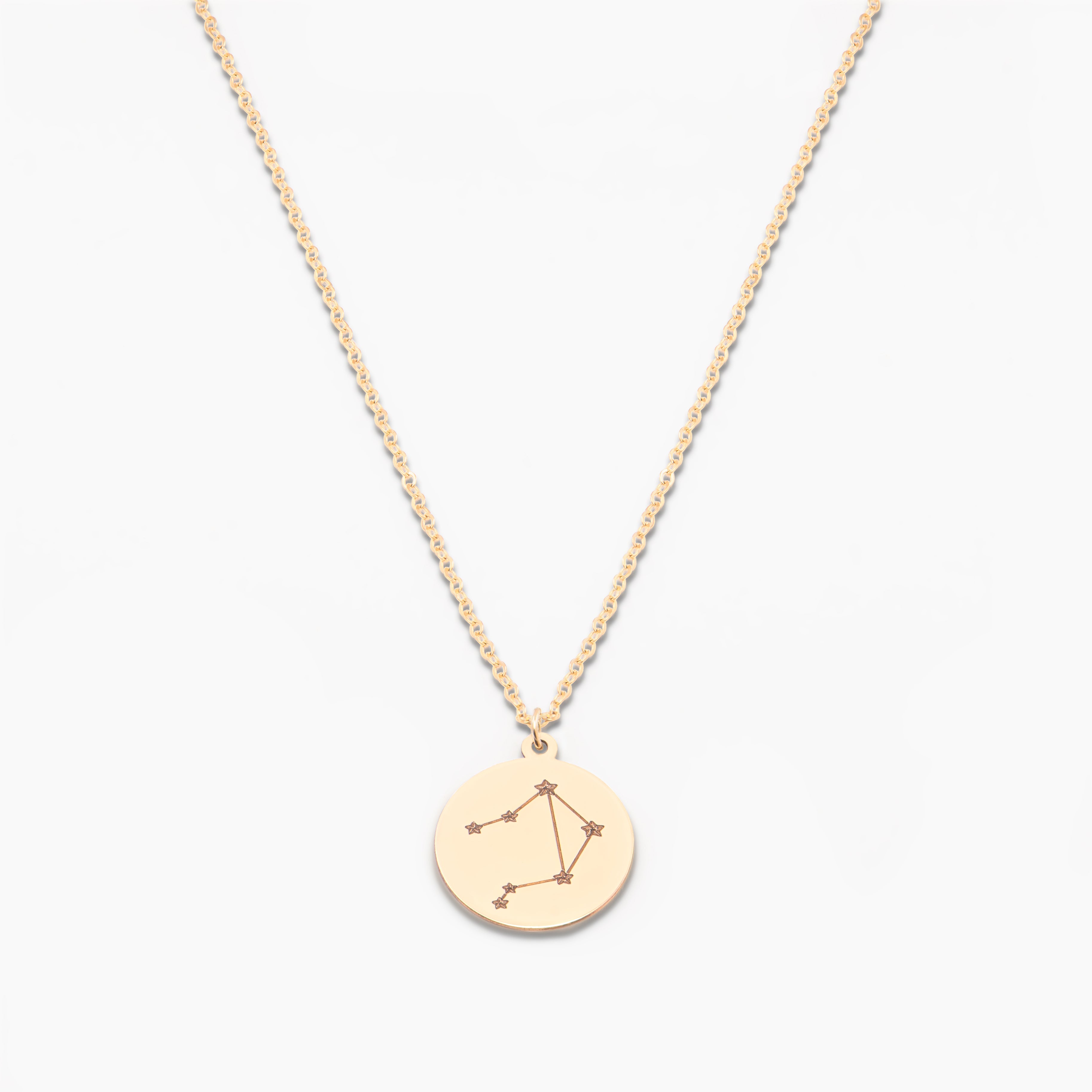 Sterling Silver Zodiac Disc Necklace