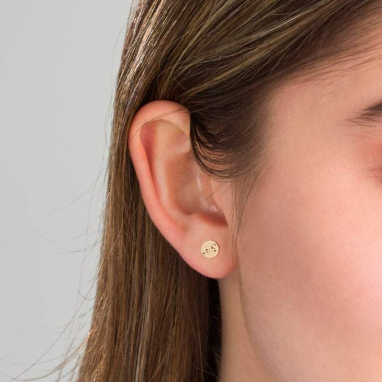 Zodiac Constellation Stud Earrings